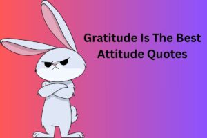 Gratitude Is The Best Attitude Quotes
