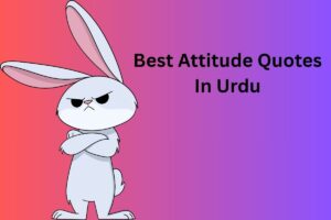 Best Attitude Quotes In Urdu