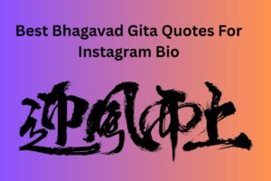 Best Bhagavad Gita Quotes For Instagram Bio