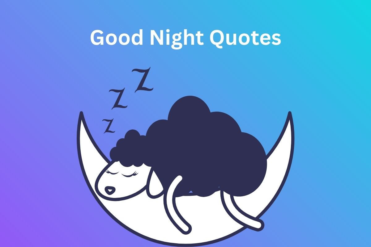 Read more about the article 251+ Good Night Quotes in Tamil | குட் நைட் மேற்கோள்கள்