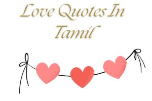 Read more about the article 420+ Best Love Quotes In Tamil | காதல் மேற்கோள்கள்