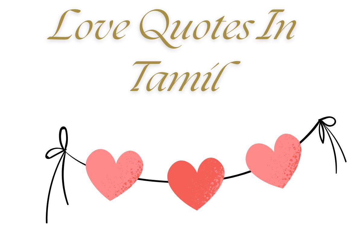 Read more about the article 420+ Best Love Quotes In Tamil | காதல் மேற்கோள்கள்